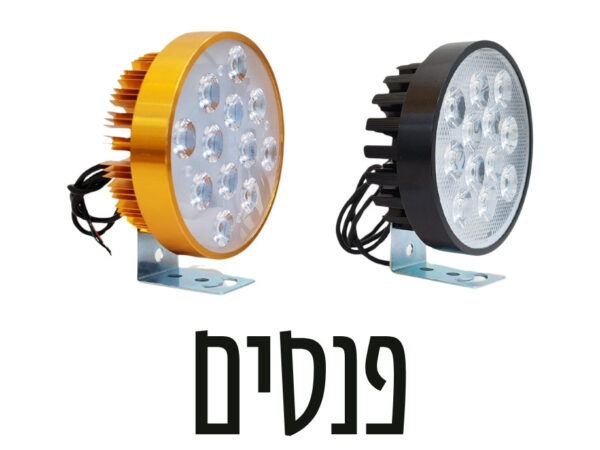 פנסים ונצנצים
