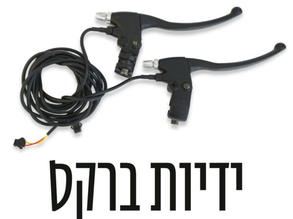 ידיות ברקס